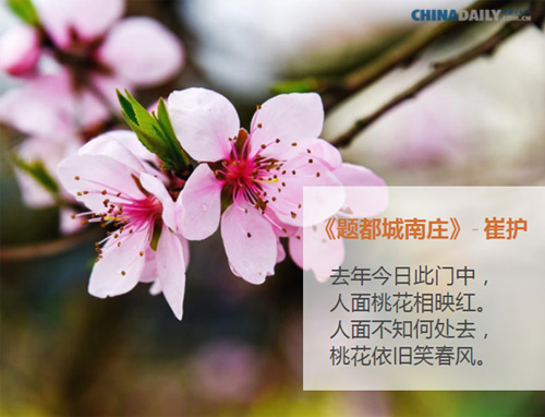 關于春天的五首中國古詩（組圖）