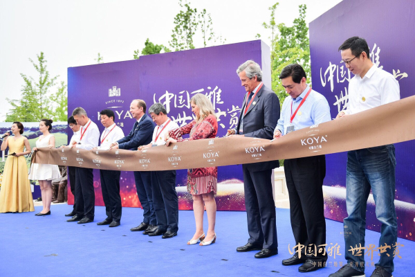 Changyu sets goal of ballooning out China's brandy market